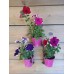 Hanging Plant Pot Holders